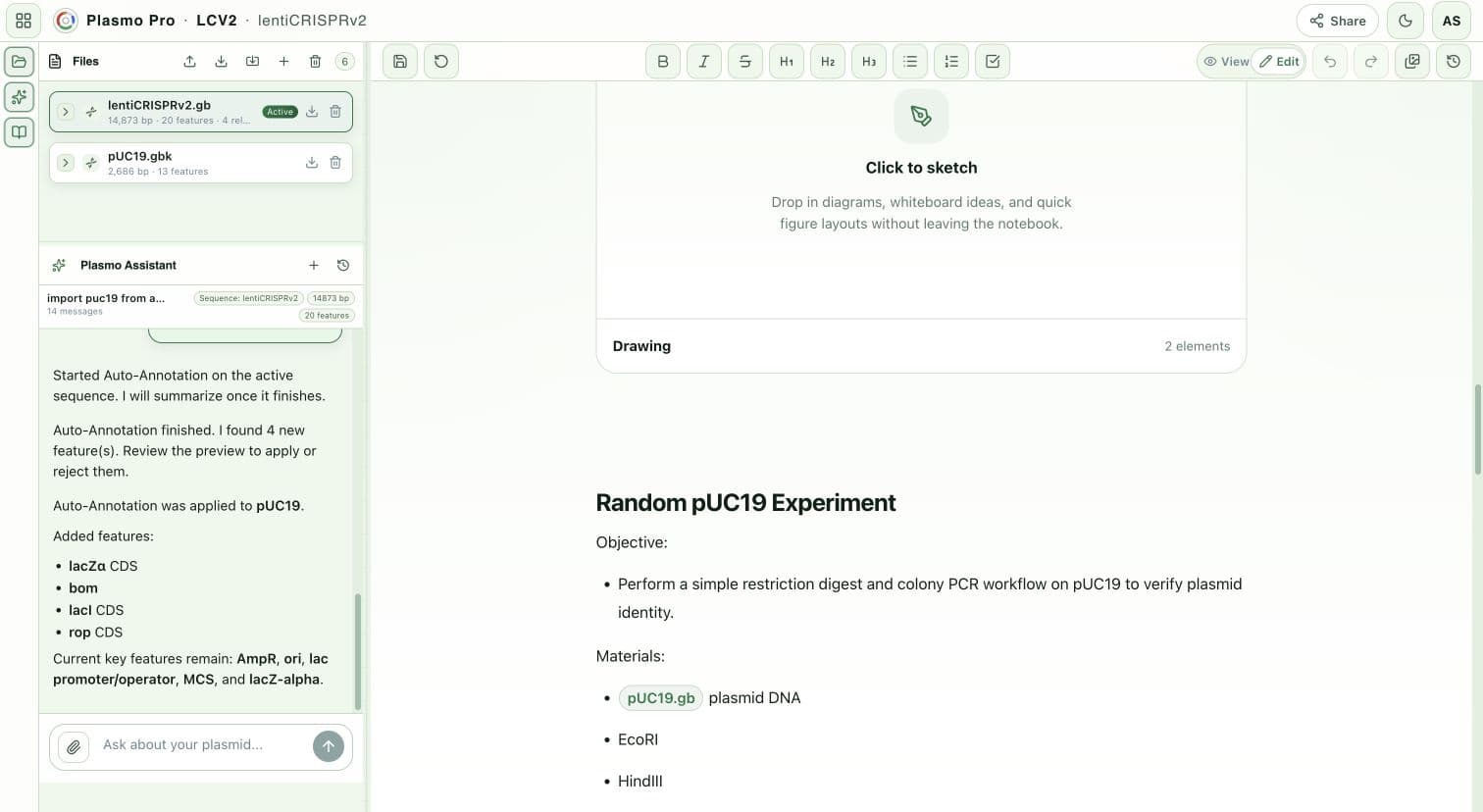 A Plasmo project notebook connecting a pUC19 experiment plan to its project files and AI-assisted sequence work.